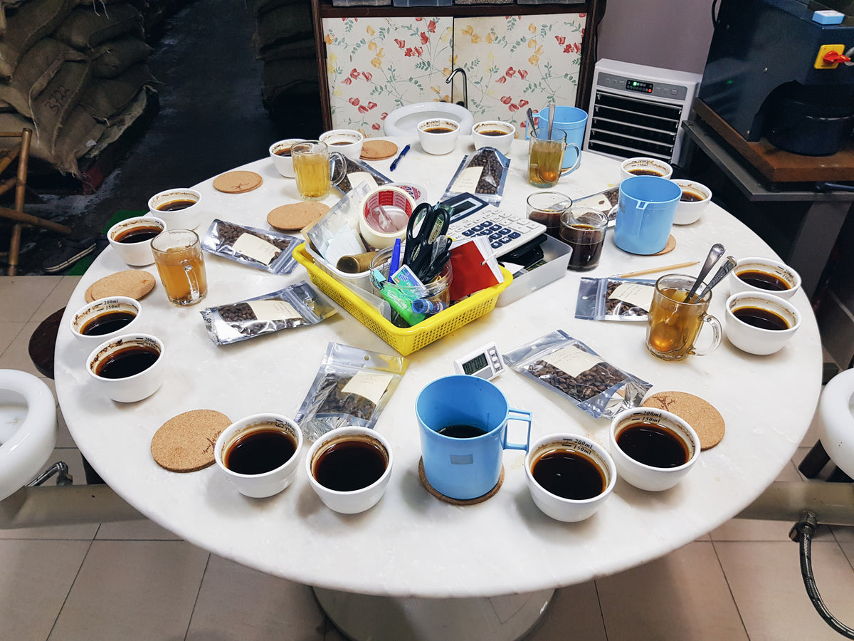 WHY Coffee tastes bad after 20 Minutes Cowpresso Coffee Roasters