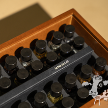 Le Nez Du Café Aroma Kit (Certified by Specialty Coffee Assocation)