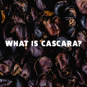 What is Cascara? How do I use the peel of the coffee cherry?