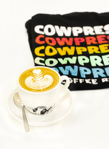 Fixed Latte Art Lessons