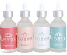 LOTUS COFFEE BREW WATER KIT