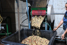 Coconut Float (Innovation Series)