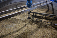 Coconut Float (Innovation Series)